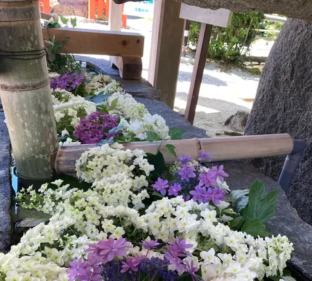 上賀茂神社（賀茂別雷神社）の写真・動画_image_523434