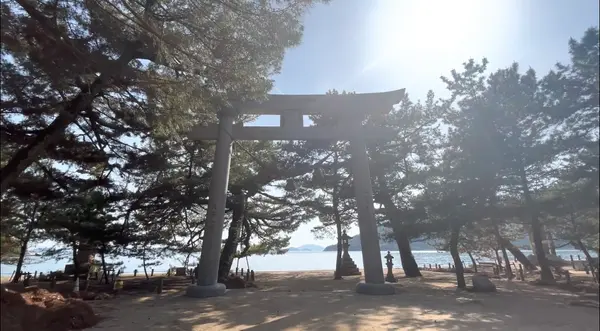 桂濱神社の写真・動画_image_523650