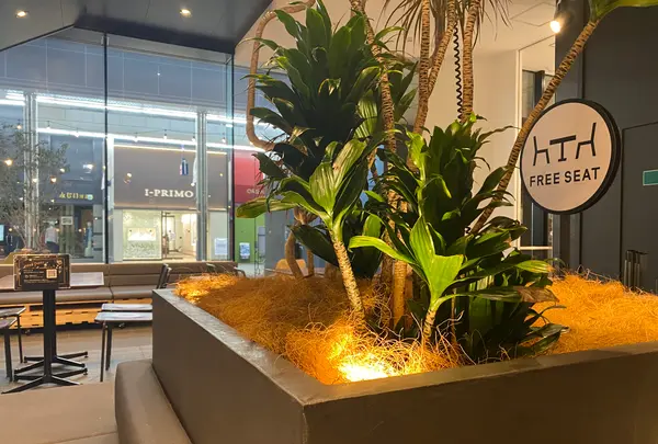 あまよっと横丁の写真・動画_image_523766