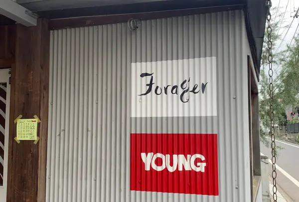 YOUNG（ヤング）の写真・動画_image_523894