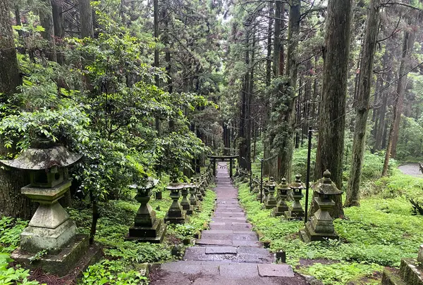 上色見熊野座神社の写真・動画_image_523980