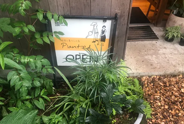 PLANTEDの写真・動画_image_524356