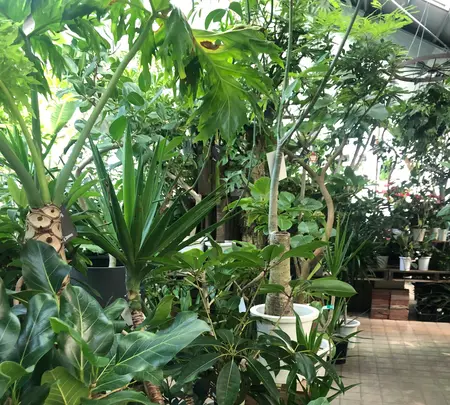 PLANTEDの写真・動画_image_524357