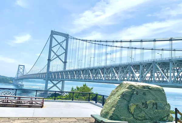 渦の道の写真・動画_image_524540