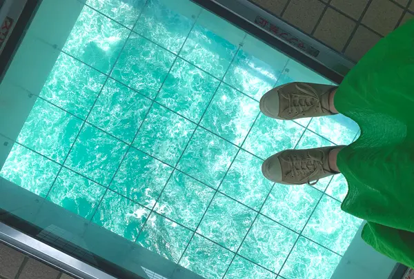 渦の道の写真・動画_image_524541