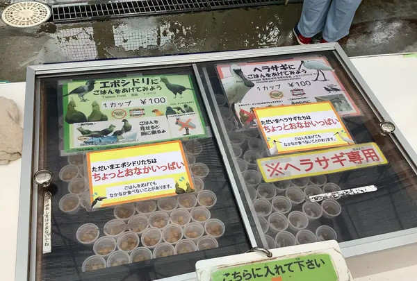 掛川花鳥園の写真・動画_image_524706