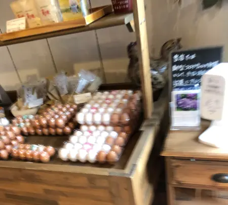 フェルエッグの写真・動画_image_524874