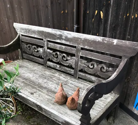 フェルエッグの写真・動画_image_524879