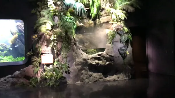 DMMかりゆし水族館の写真・動画_image_525375