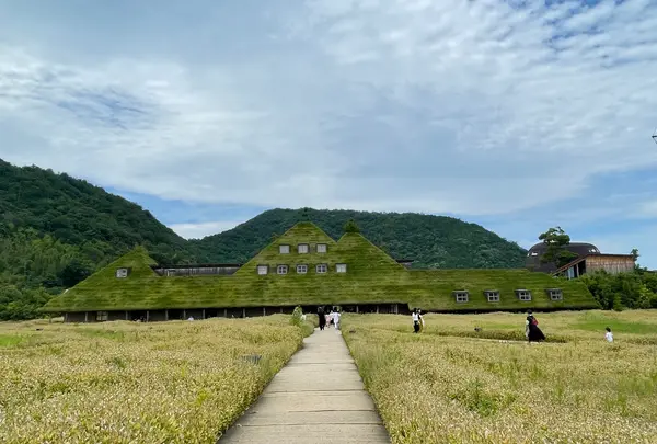 ラコリーナ近江八幡の写真・動画_image_526070