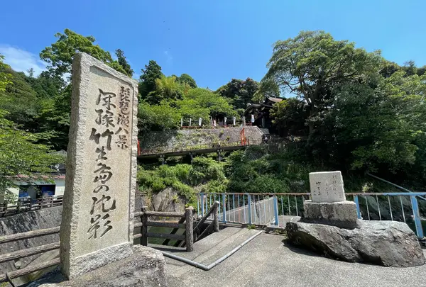 竹生島の写真・動画_image_526141