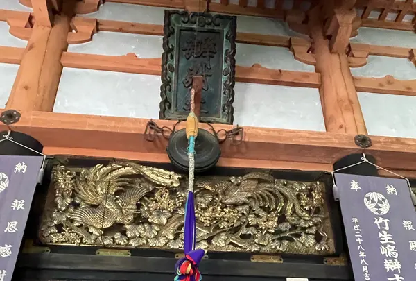 巌金山宝厳寺の写真・動画_image_526145