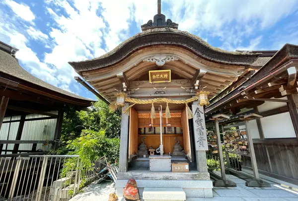 都久夫須麻神社（竹生島神社）の写真・動画_image_526172