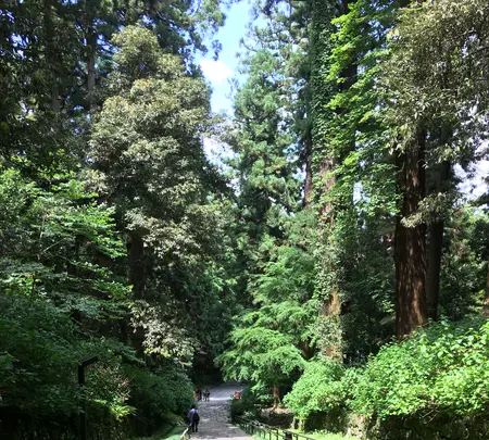 瑞鳳殿（仙台藩租伊達政宗公御廟）の写真・動画_image_526302