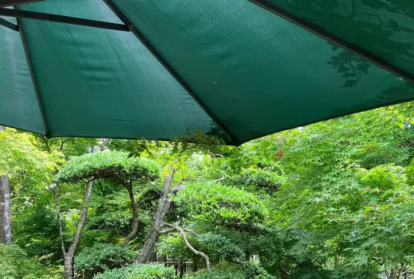 遊季庭かわ嶋の写真・動画_image_526331