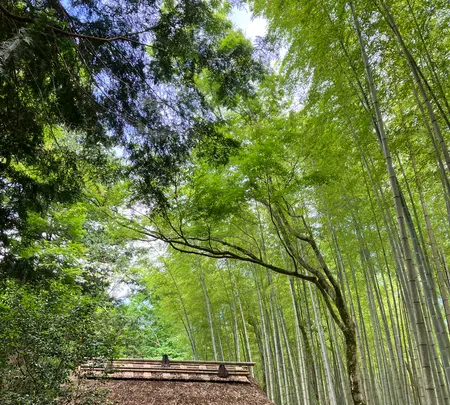 とらや工房の写真・動画_image_526335