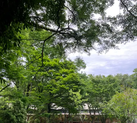 とらや工房の写真・動画_image_526337