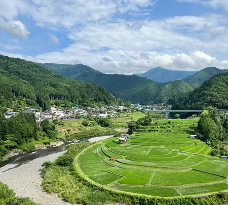 あらぎ島展望所の写真・動画_image_526666