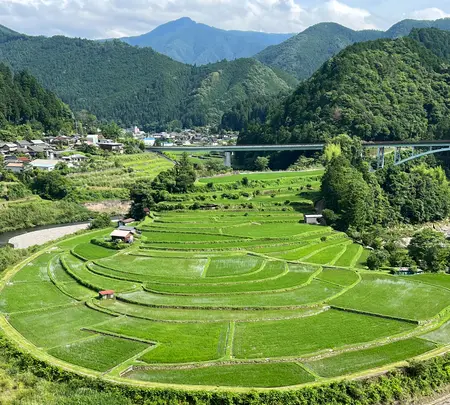 あらぎ島展望所の写真・動画_image_526667