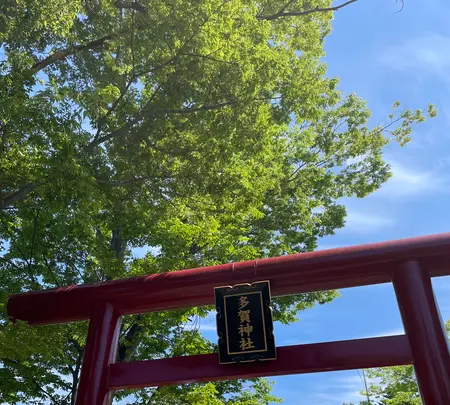 多賀神社の写真・動画_image_526691