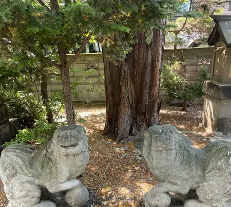 札幌水天宮の写真・動画_image_526707