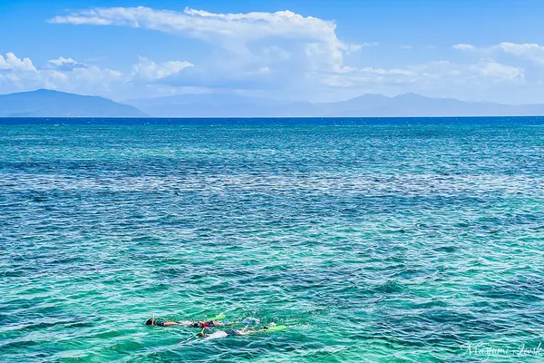 グリーン島の写真・動画_image_527140