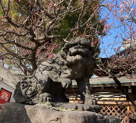 肉の大山 上野店の写真・動画_image_527317