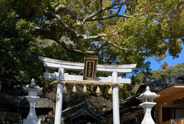 掛川城天守閣の写真・動画_image_527355