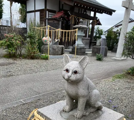 アモーレ 立川北口店の写真・動画_image_527359