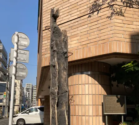 田んぼとぶどうの写真・動画_image_527364