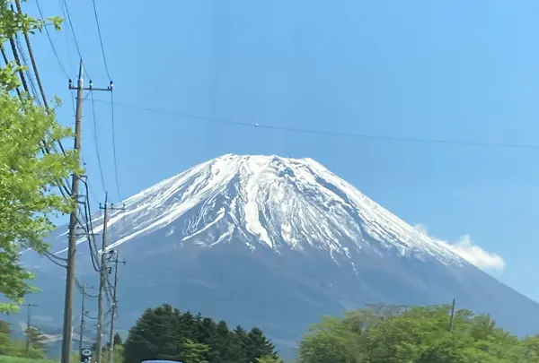富士芝桜まつりの写真・動画_image_527447