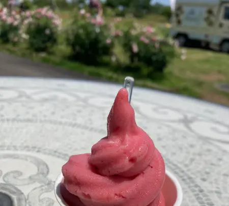 神奈川県立花と緑のふれあいセンター 花菜ガーデンの写真・動画_image_527456