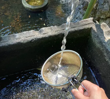 平塚八幡宮の写真・動画_image_527511