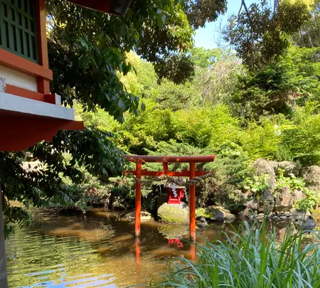 平塚八幡宮の写真・動画_image_527512