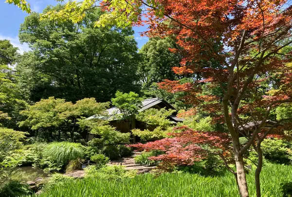 根津美術館の写真・動画_image_527544