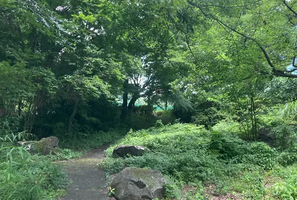 緑豊かな遊歩道