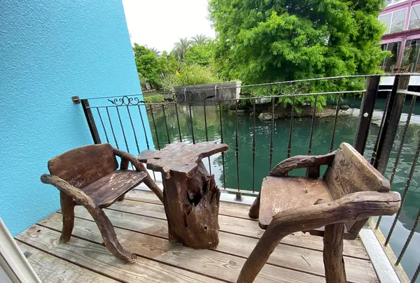 水岸森林の写真・動画_image_527745