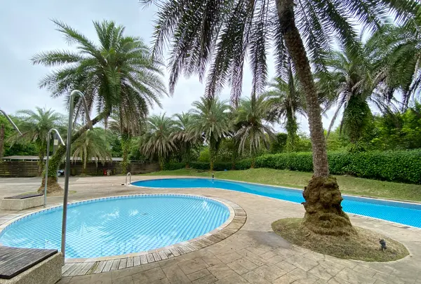 水岸森林の写真・動画_image_527747