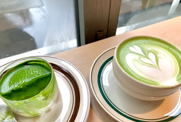 Satén japanese teaの写真・動画_image_527828