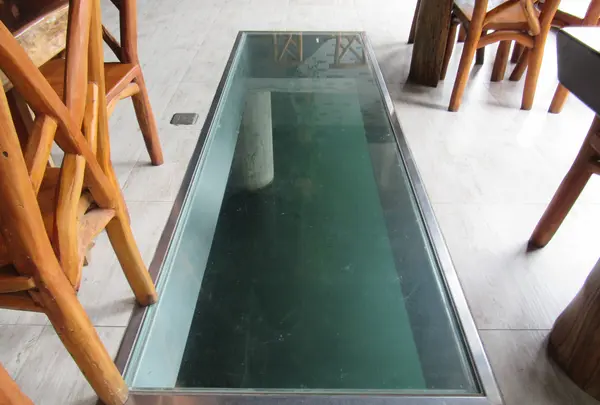 水岸森林湖畔餐庁の写真・動画_image_527884