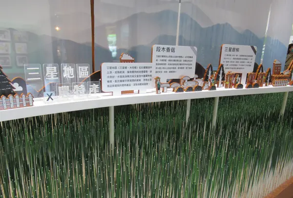 三星青葱文化館の写真・動画_image_527923