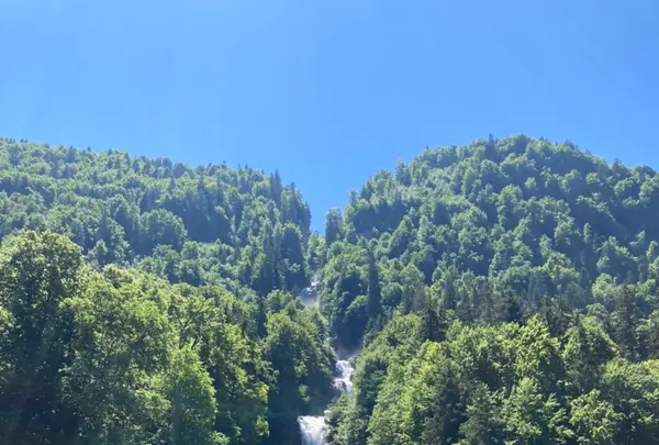 グランドホテル ギースバッハの写真・動画_image_528295