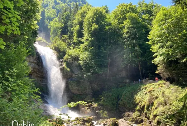 ギーススバッハフェレの写真・動画_image_528302