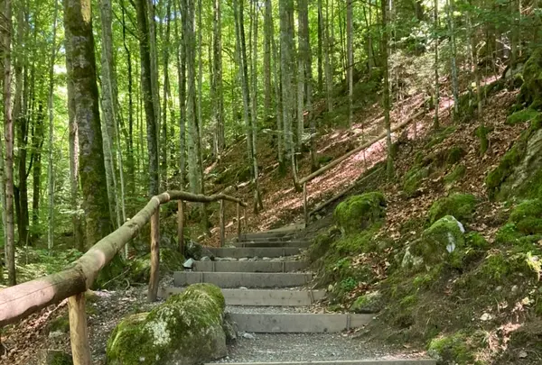 ギーススバッハフェレの写真・動画_image_528303