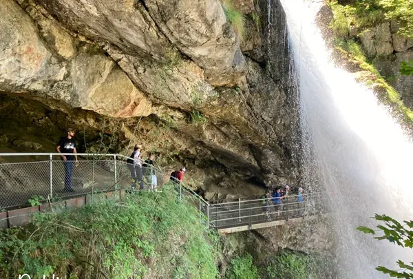 ギーススバッハフェレの写真・動画_image_528304