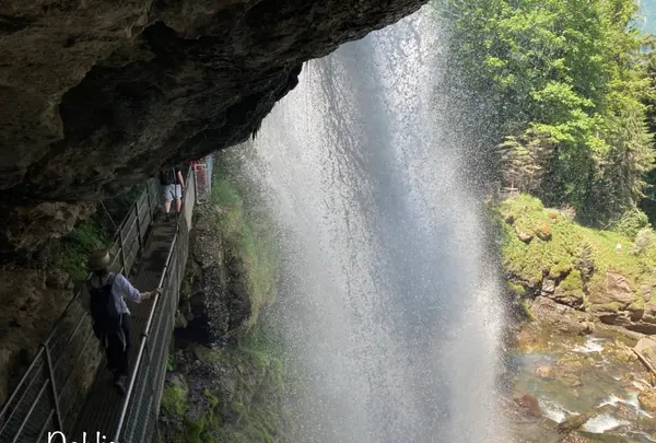 ギーススバッハフェレの写真・動画_image_528305