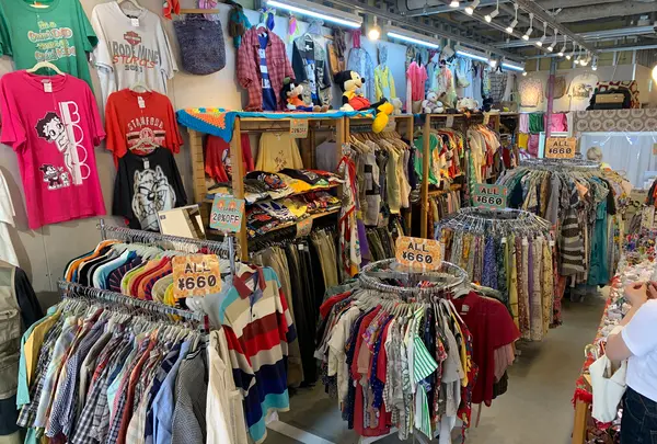 東洋百貨店 別館の写真・動画_image_528568