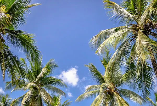 タラ ビーチ ネイチャー リザーブの写真・動画_image_529255