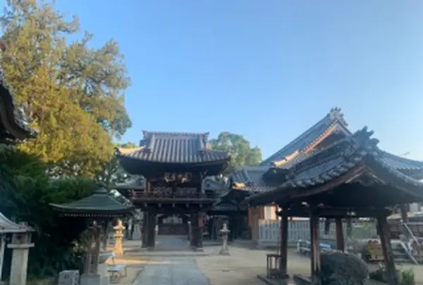 圓明寺の写真・動画_image_529261