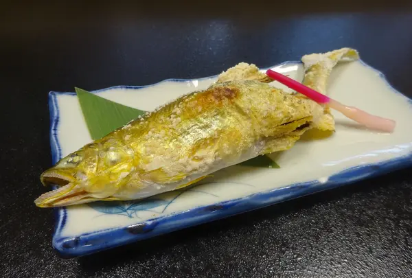 魚末の写真・動画_image_529311